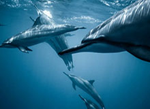 发现自我之美：Kiayun，让生活更有仪式感